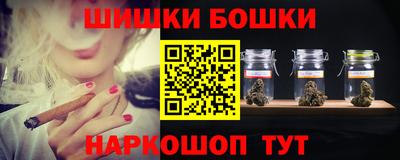 шишки Аргун