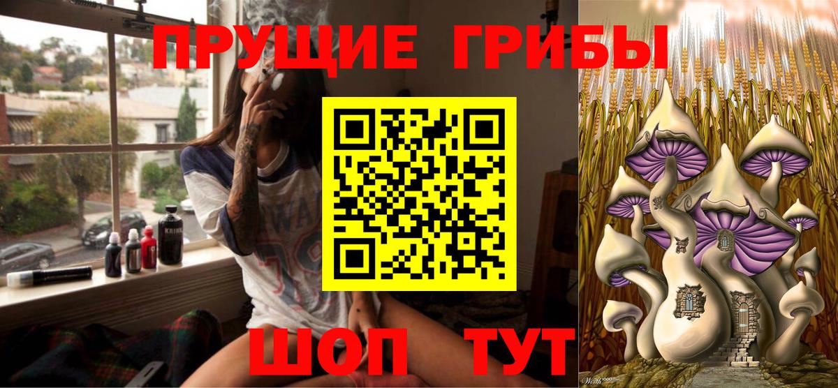Балабаново  Псилоцибиновые грибы MAGIC MUSHROOMS  Вход с VPN 